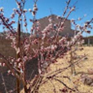 Meet your Posher, Janette